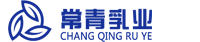 website logo